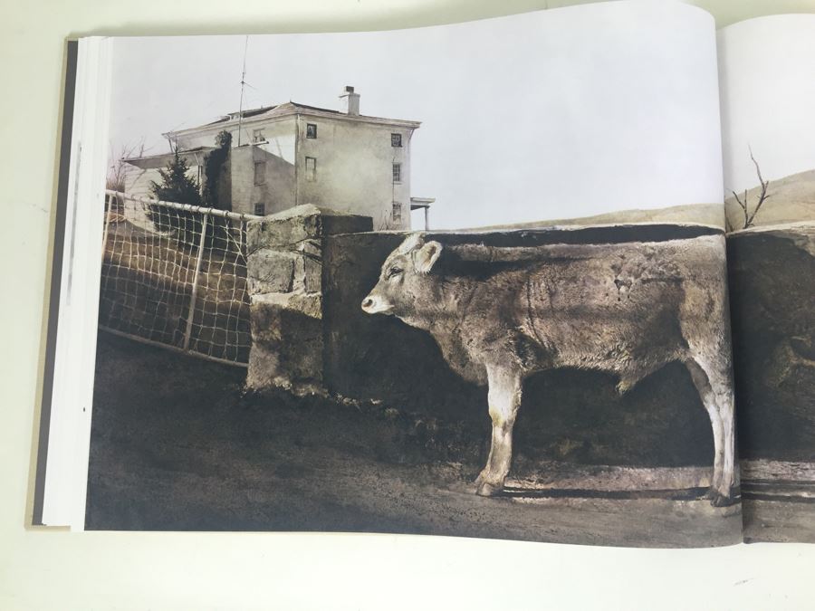 Large Format Book Andrew Wyeth AW Houghton Mifflin Company Richard Meryman 1968 First Printing [Photo 23]