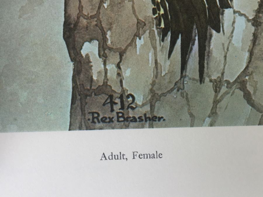4 Volumes Of Birds & Trees Of North America Rex Brasher Rowman And Littlefield 1961 [Photo 11]