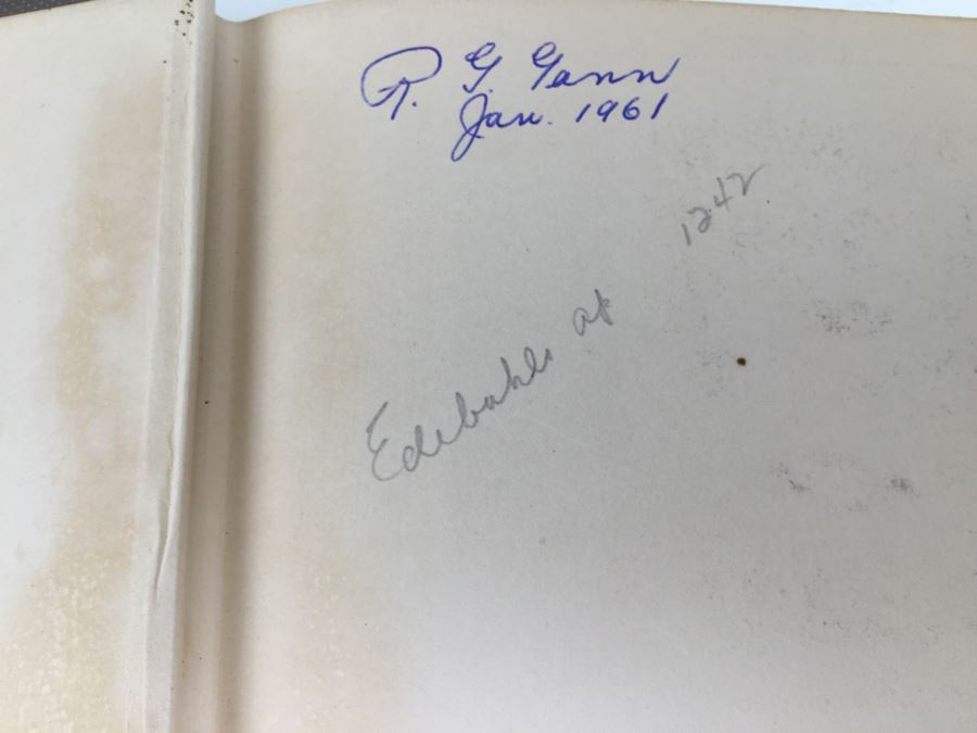 Text-Book Of Surgery Babcock 1930 W. B. Saunders Company Philadelphia [Photo 7]