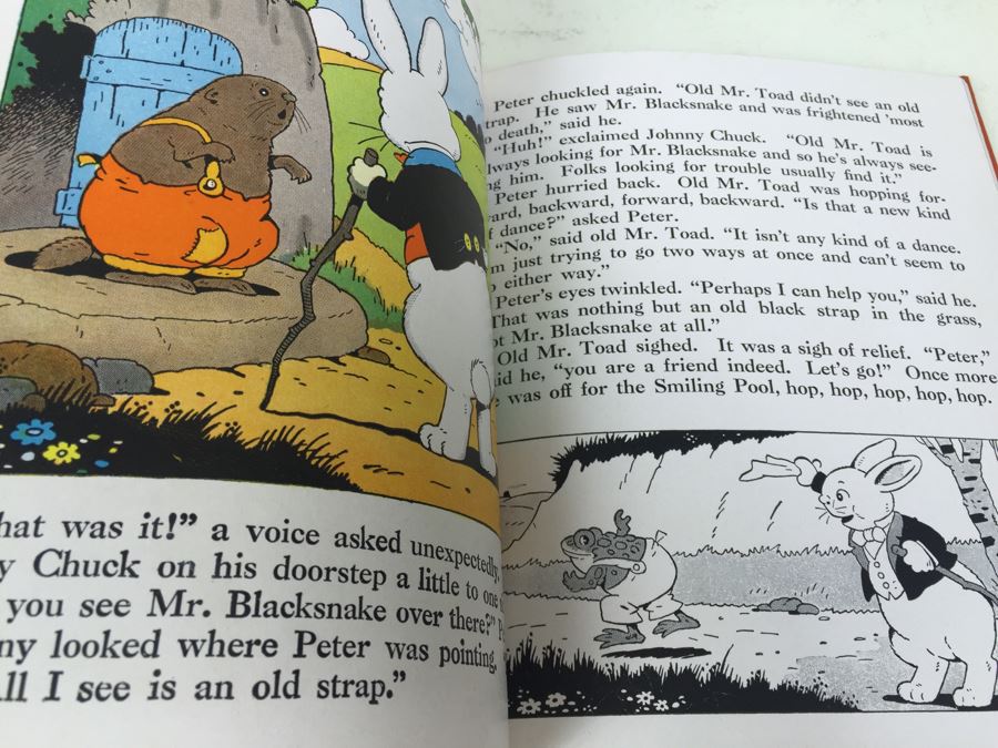 Thornton Burgess Animal Stories Book Illustrated By Harrison Cady 1942 [Photo 5]