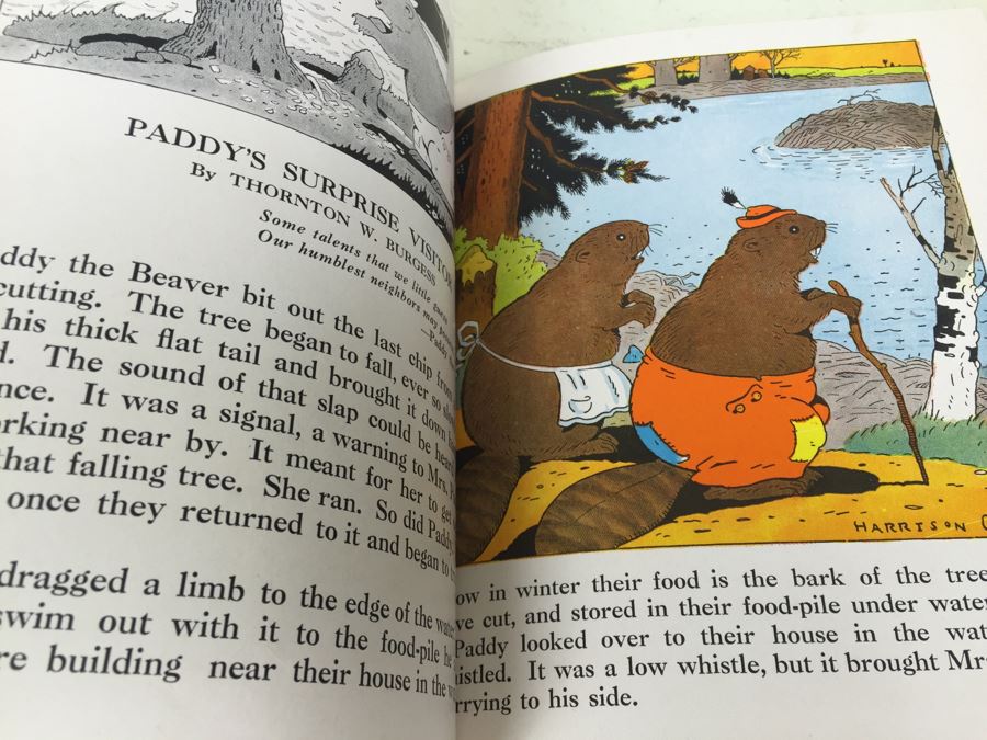 Thornton Burgess Animal Stories Book Illustrated By Harrison Cady 1942 [Photo 4]