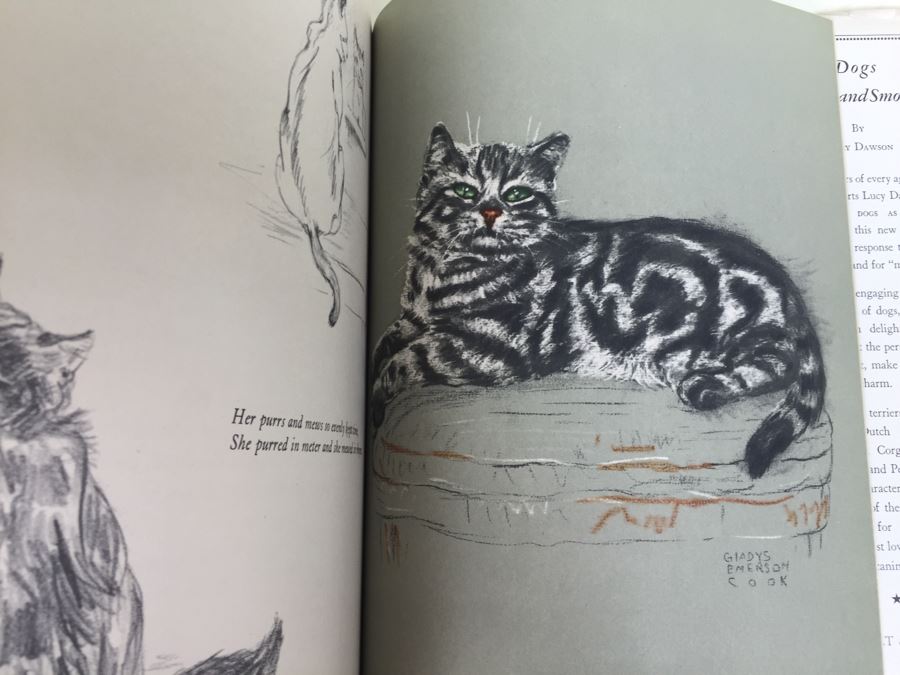 Hiram And Other Cats Drawings By Gladys Emerson Cook 1941 [Photo 9]