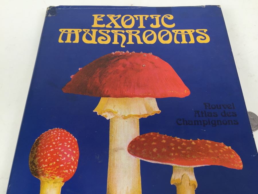 Exotic Mushrooms By Henri Romagnesi 1971 [Photo 4]