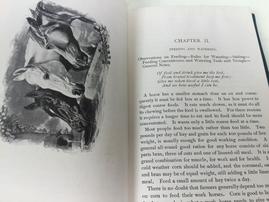 Biggle Horse Book Number One Biggle Farm Library 1895 [Photo 10]