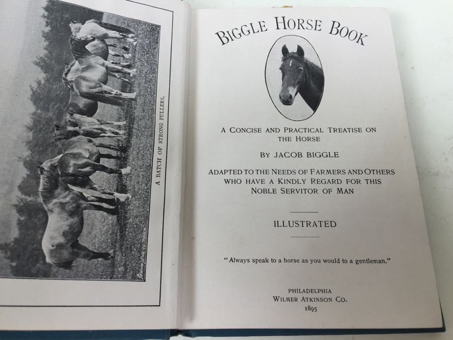 Biggle Horse Book Number One Biggle Farm Library 1895 [Photo 7]