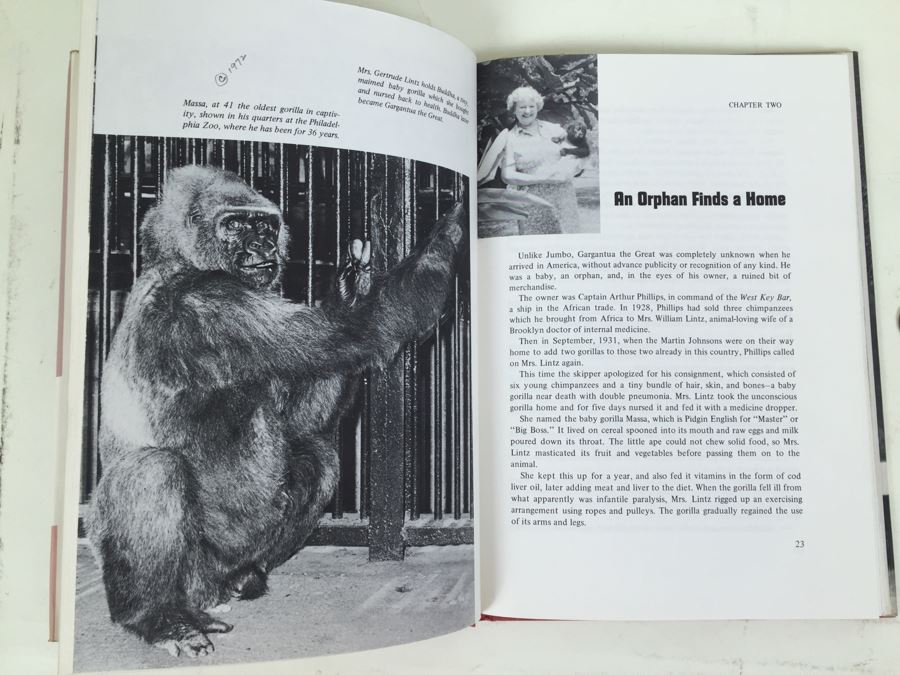 Gargantua Circus Star Of The Century Book By Gene Plowden 1972 [Photo 3]