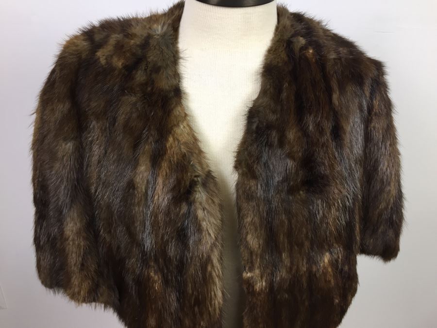 Vintage Mink [Photo 5]