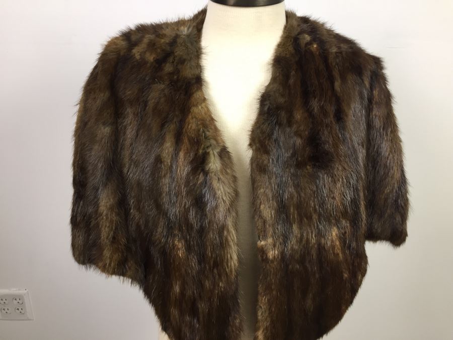 Vintage Mink [Photo 4]