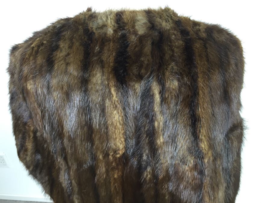 Vintage Mink [Photo 10]