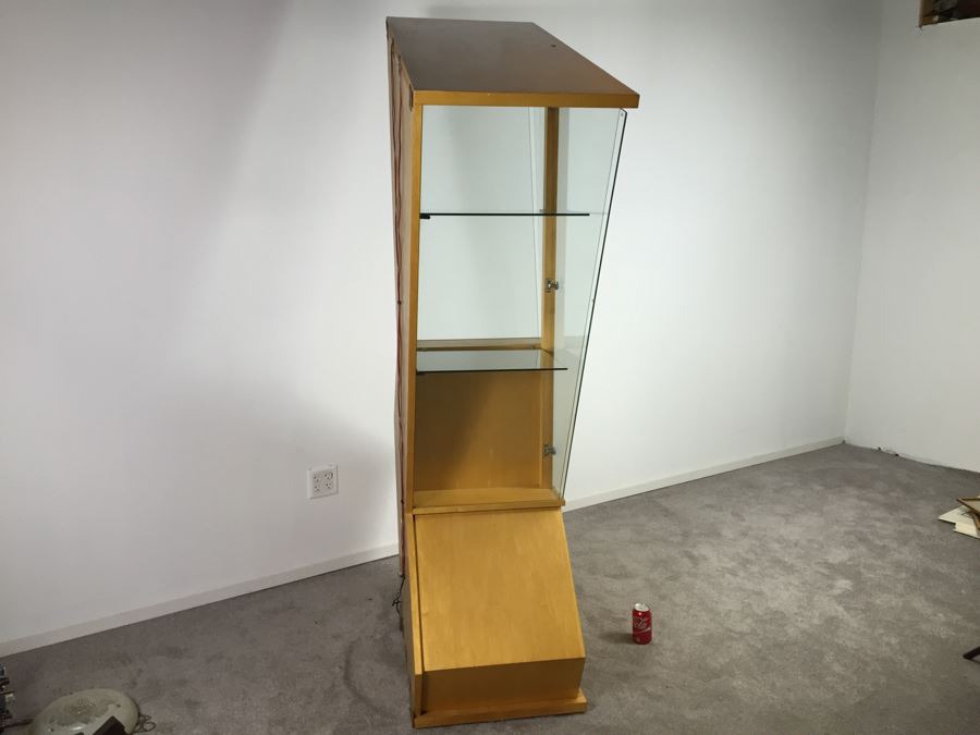 Contemporary Modernist Curio Veneered Cabinet With Interior Lighting [Photo 3]