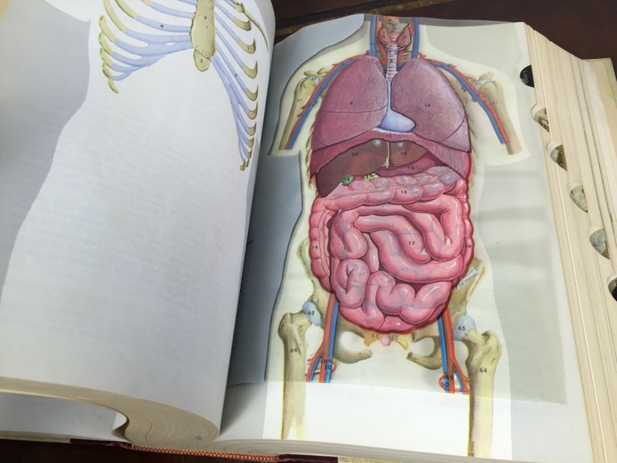 The Cowles Comprehensive Encyclopedia The Volume Library 1964 [Photo 2]