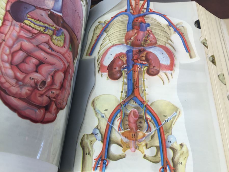 The Cowles Comprehensive Encyclopedia The Volume Library 1964 [Photo 3]