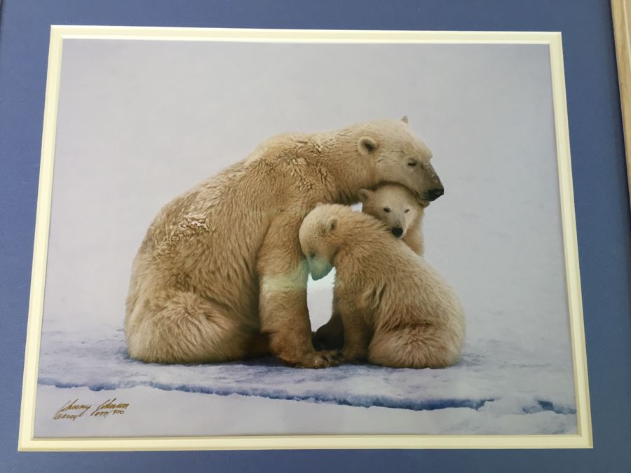 Johnny Johnson Signed Polar Bear Family Photograph Limited Edition 877/950