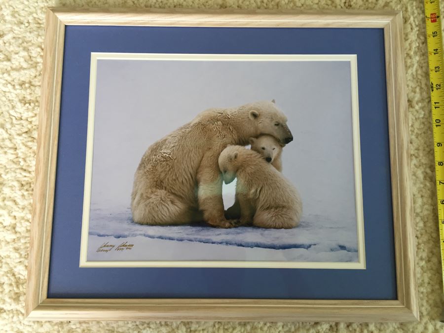 Johnny Johnson Signed Polar Bear Family Photograph Limited Edition 877/950
