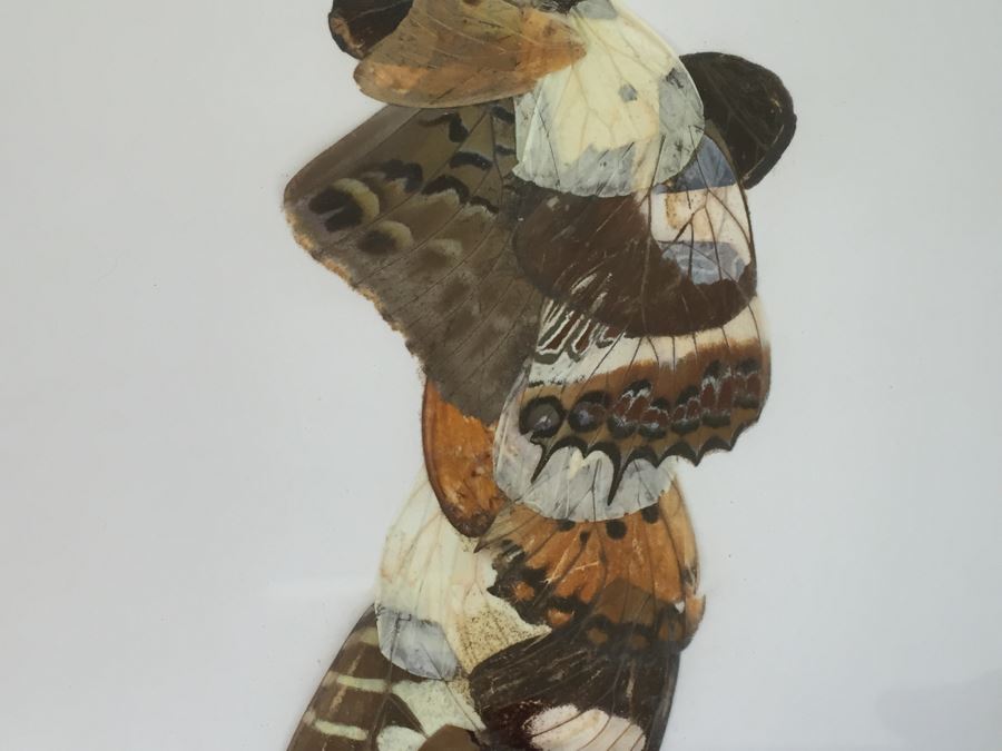 Set Of 4 African Real Butterfly Wing Collages Artwork - 2 Signed By Moses Michall [Photo 23]