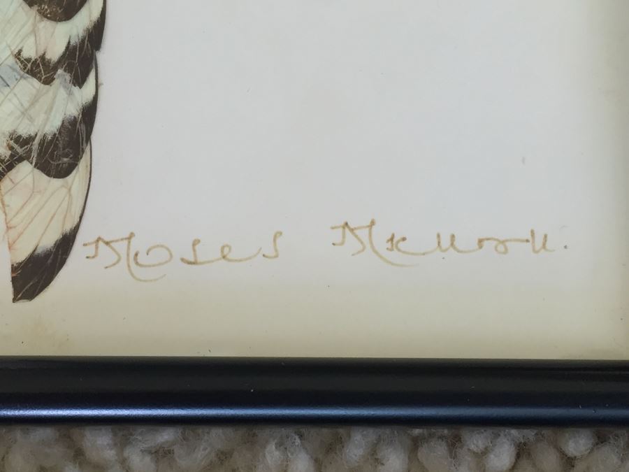 Set Of 4 African Real Butterfly Wing Collages Artwork - 2 Signed By Moses Michall [Photo 20]