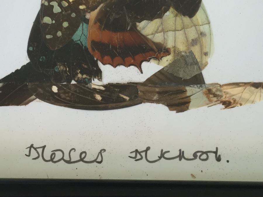 Set Of 4 African Real Butterfly Wing Collages Artwork - 2 Signed By Moses Michall [Photo 15]