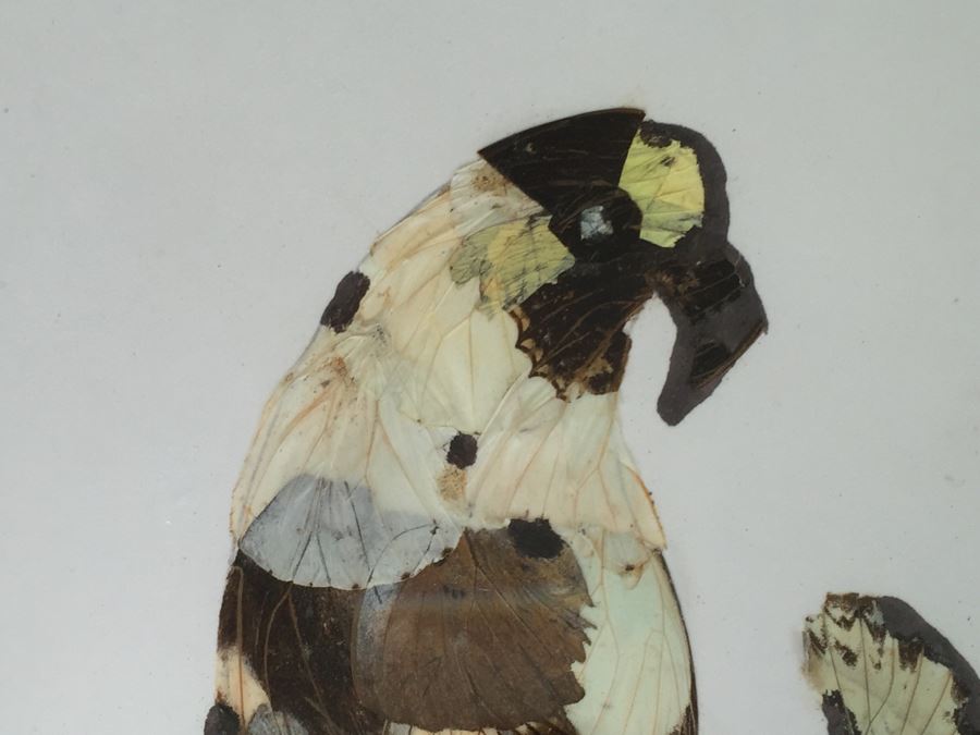 Set Of 4 African Real Butterfly Wing Collages Artwork - 2 Signed By Moses Michall [Photo 5]