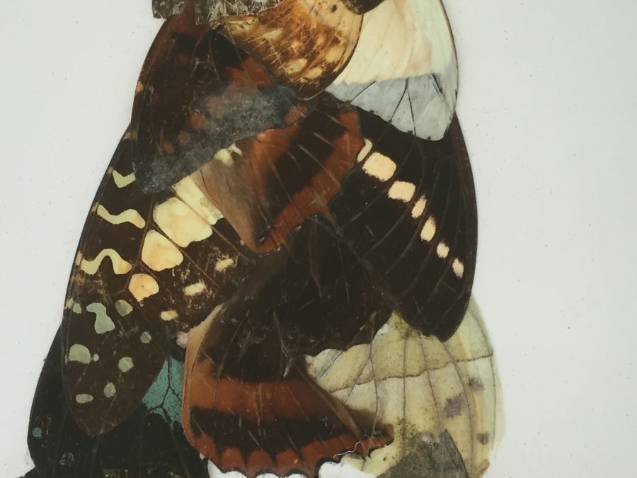 Set Of 4 African Real Butterfly Wing Collages Artwork - 2 Signed By Moses Michall [Photo 14]