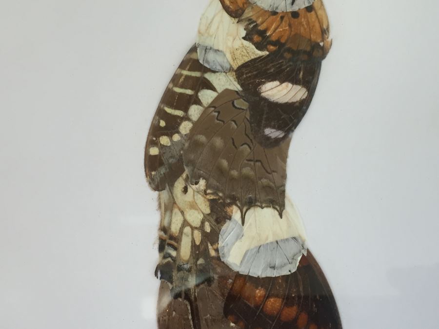 Set Of 4 African Real Butterfly Wing Collages Artwork - 2 Signed By Moses Michall [Photo 24]