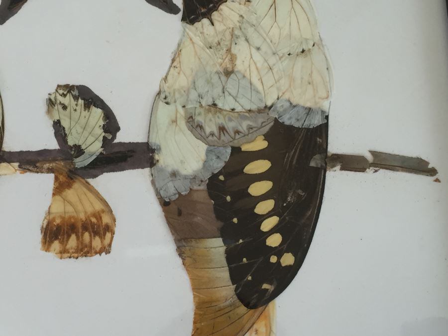 Set Of 4 African Real Butterfly Wing Collages Artwork - 2 Signed By Moses Michall [Photo 7]