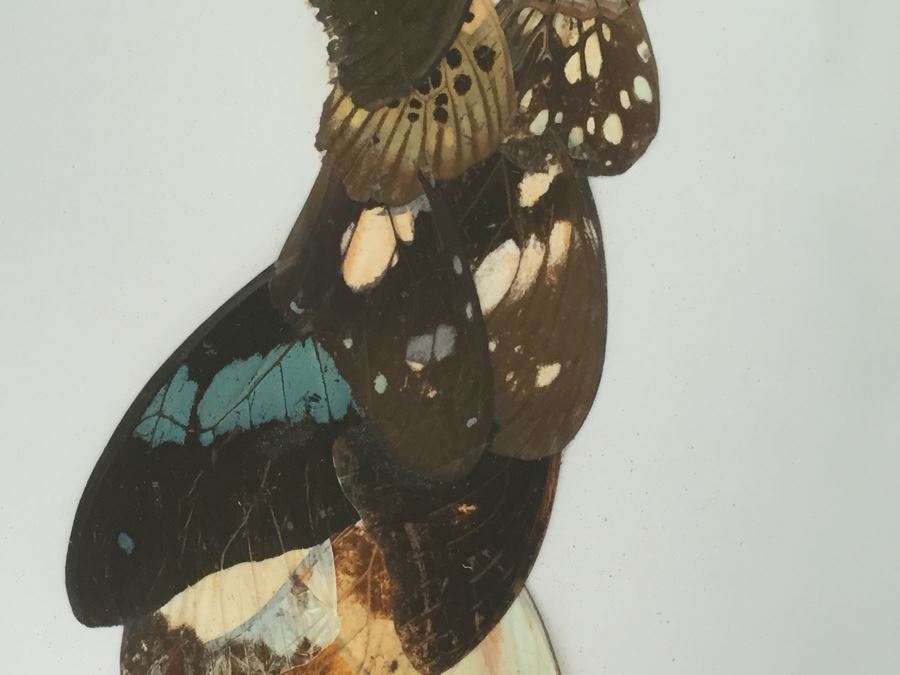 Set Of 4 African Real Butterfly Wing Collages Artwork - 2 Signed By Moses Michall [Photo 13]