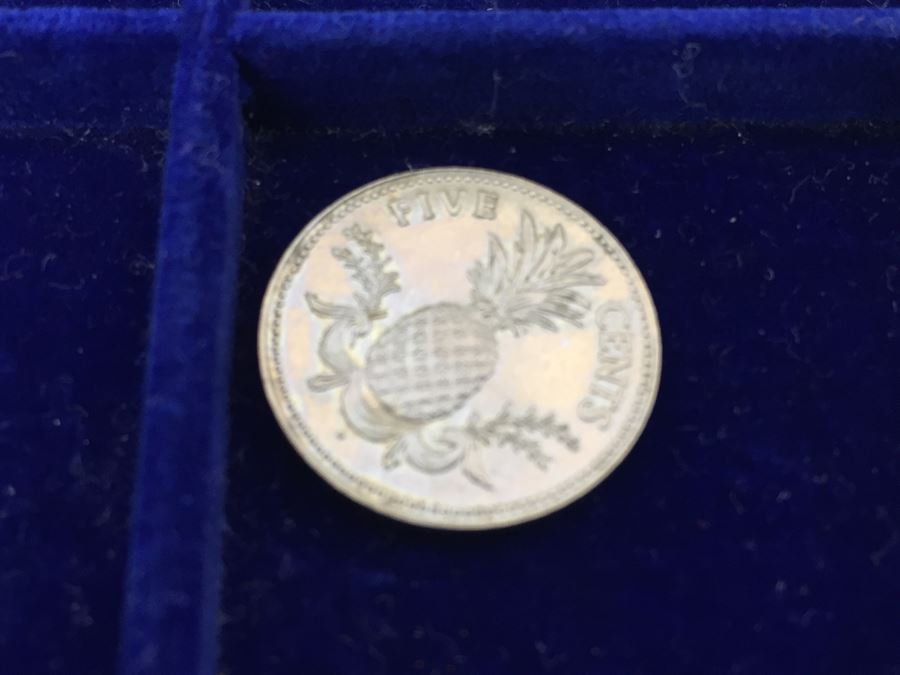 International Coin Collection In Nice 5-Drawer Presentation Box Organized By Country [Photo 18]