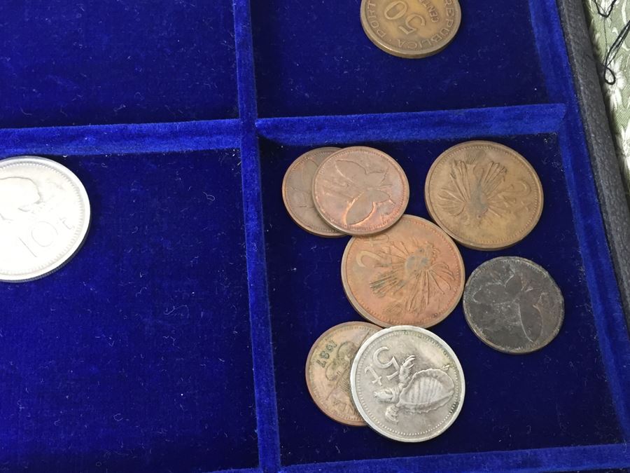 International Coin Collection In Nice 5-Drawer Presentation Box Organized By Country [Photo 74]