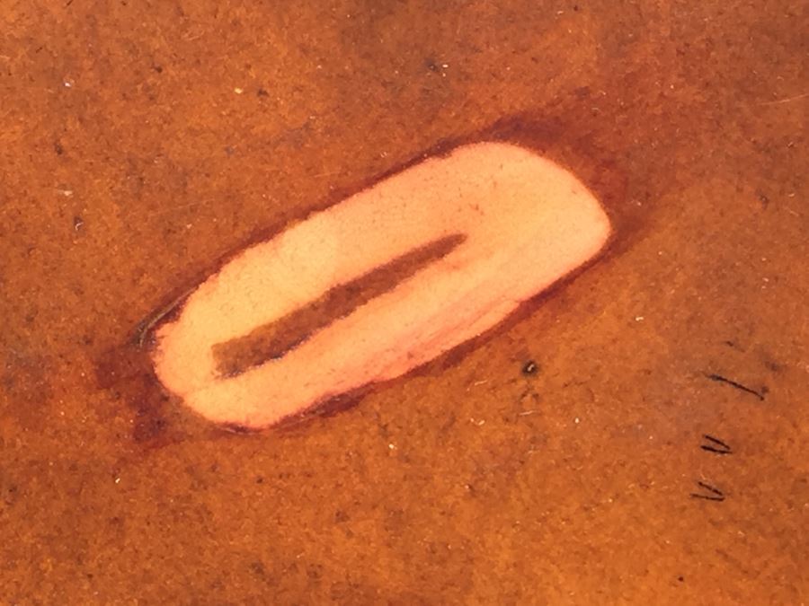 Theodore Alexander Dining Table With 6 Chairs [Photo 14]