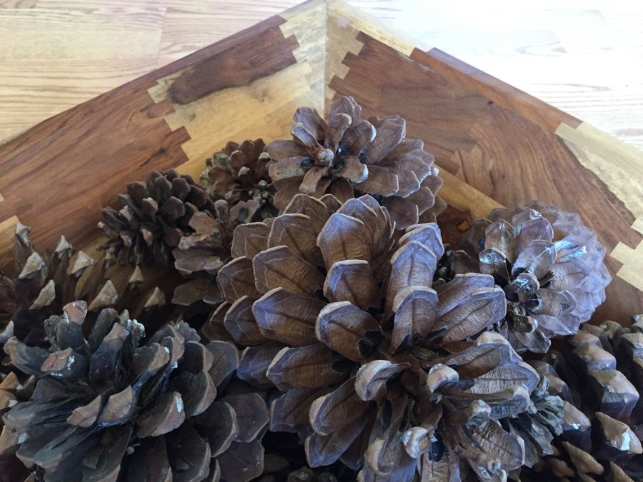 Large Finely Crafted Wooden Bowl With Pine Cones [Photo 6]