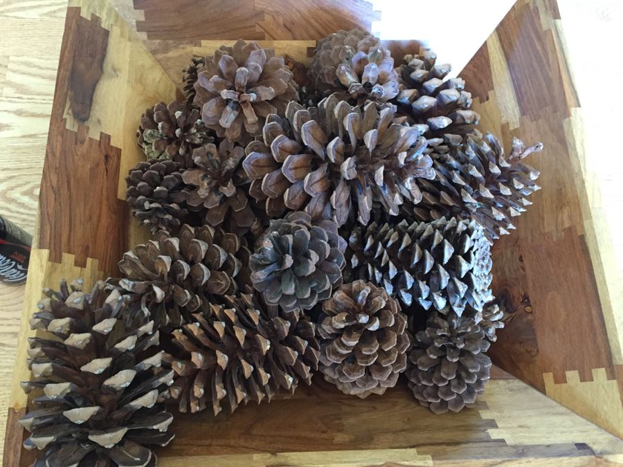 Large Finely Crafted Wooden Bowl With Pine Cones [Photo 4]