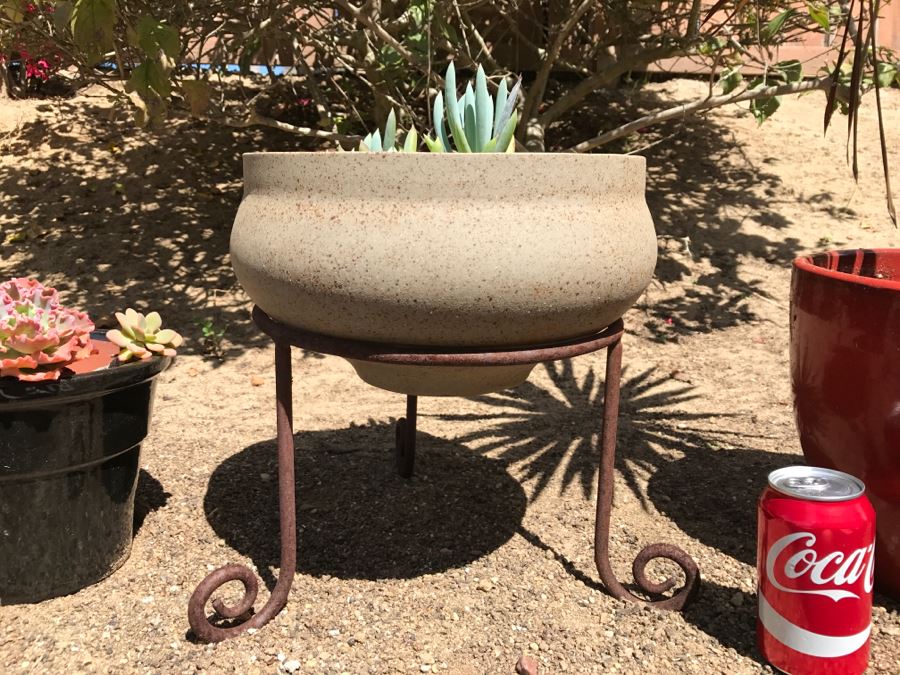 3 Potted Succulent Plants [Photo 2]