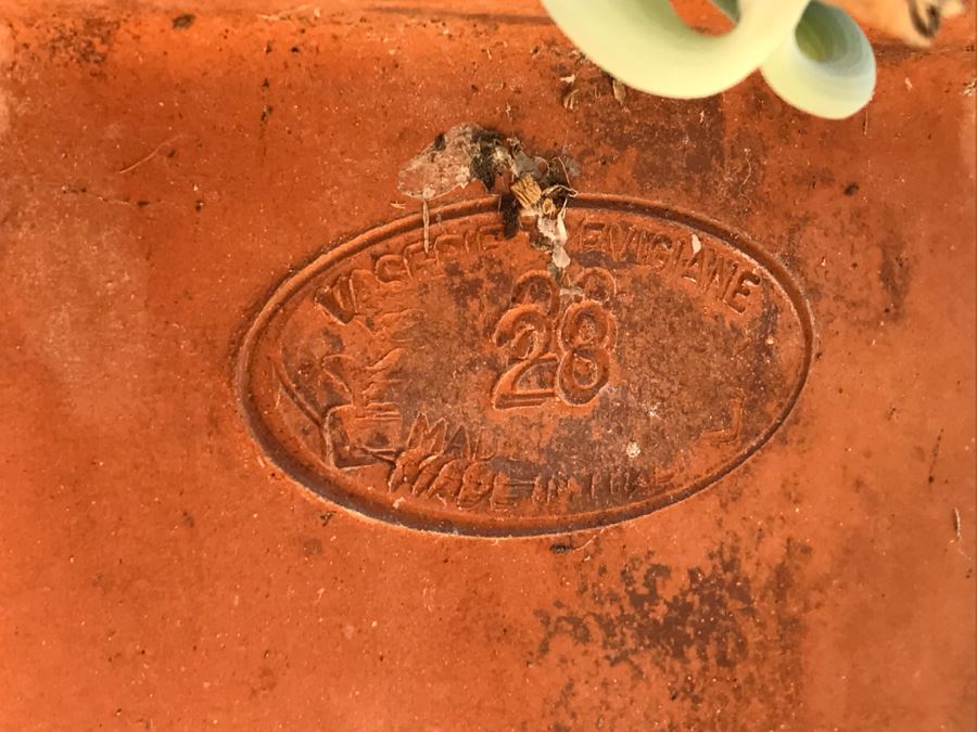 Potted Plant - Pot Made In Italy [Photo 2]