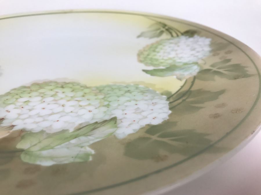 Vintage Hand Painted Plate R S Germany [Photo 6]