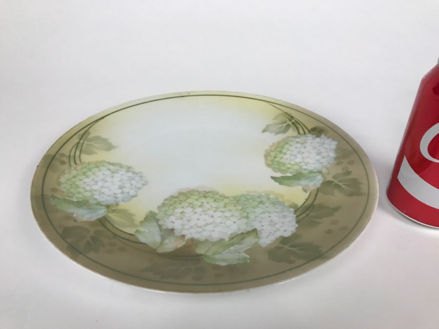 Vintage Hand Painted Plate R S Germany [Photo 1]