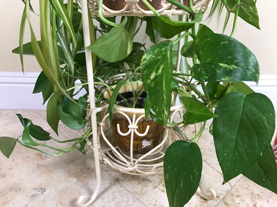 Two-Tier Plant Stand With Plants [Photo 2]