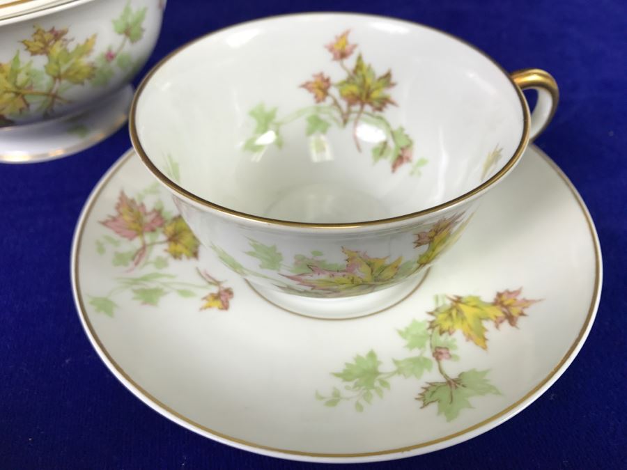 Coffee Service China Set Haviland Limoges Autumn Leaf France 'Merry ...