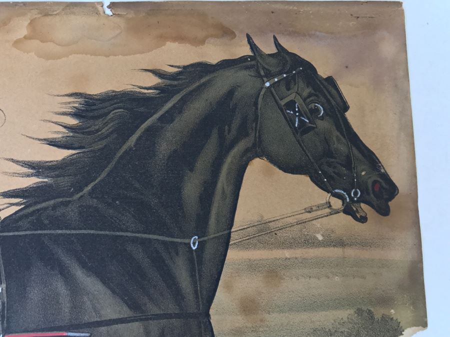 Vintage Currier & Ives Lithograph 'France's Alexander' [Photo 6]