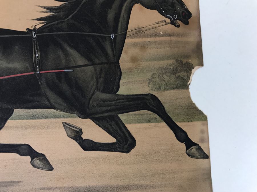 Vintage Currier & Ives Lithograph 'France's Alexander' [Photo 5]