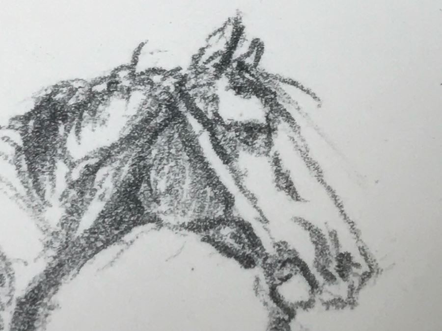 Olaf Wieghorst 'Range Ponies' A.P. Hand Signed Lower Right With Rare Hand Sketch Illustration In Lower Left Of Cowboy With Horse Nicely Matted And Framed [Photo 21]