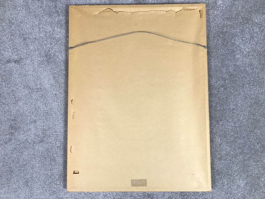 Very Fine Vintage Hand Stitched Silk Embroidery Of Koi Fish Signed And Framed [Photo 25]