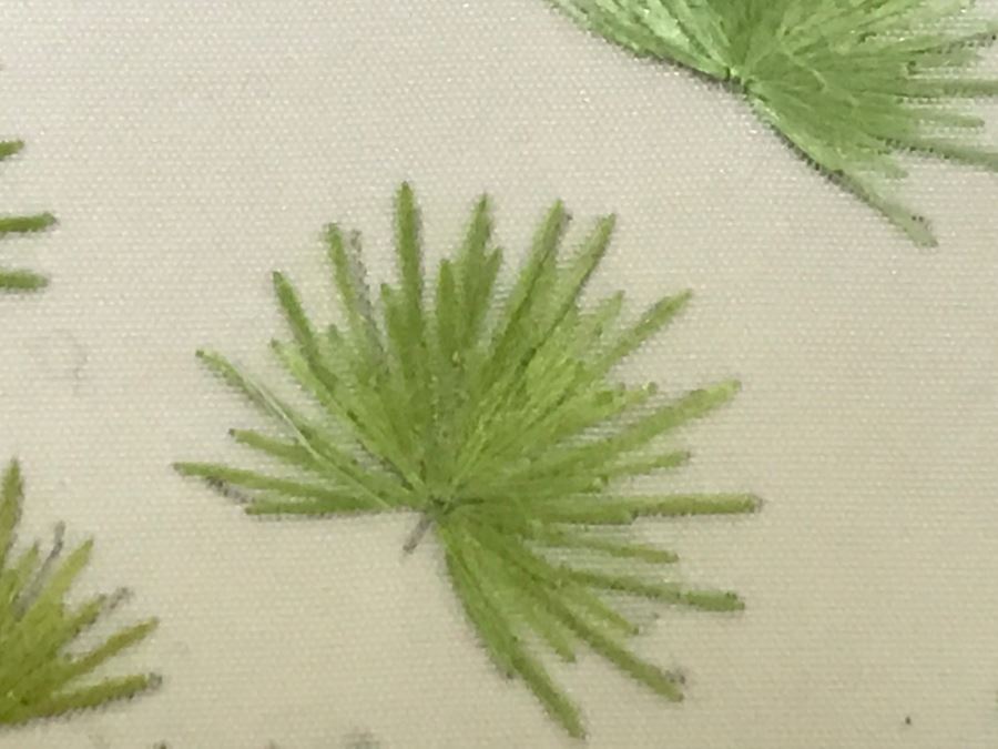 Very Fine Vintage Hand Stitched Silk Embroidery Of Koi Fish Signed And Framed [Photo 18]