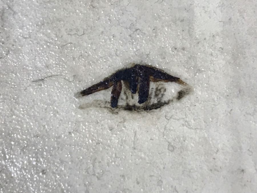 Vintage 1975 Gustavo Valenzuela Portrait Painting Signed Lower Right Mexican Modernist Painter Hermosillo, Sonora [Photo 14]