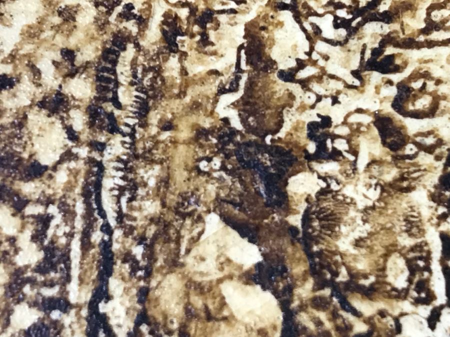 Vintage 1975 Gustavo Valenzuela Portrait Painting Signed Lower Right Mexican Modernist Painter Hermosillo, Sonora [Photo 12]