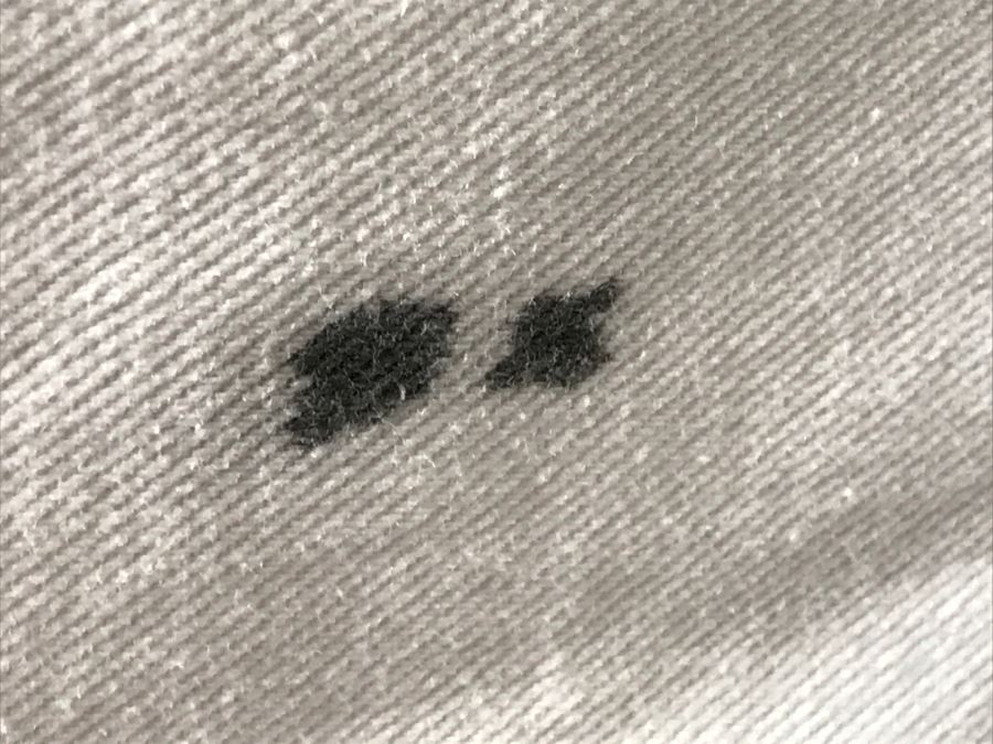 Sofa Sleeper With White Slip Cover [Photo 7]