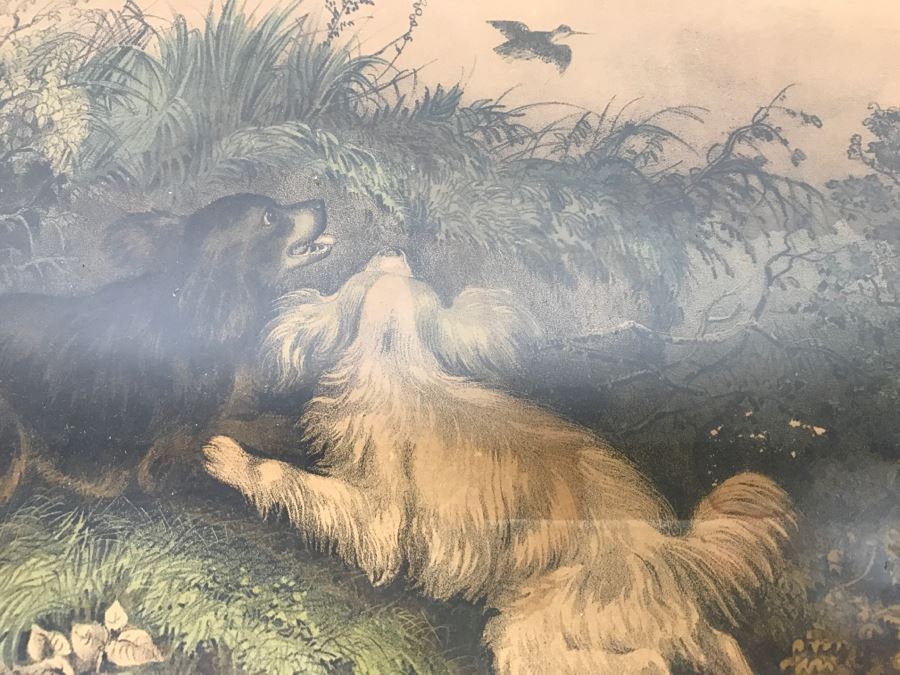 Antique Currier & Ives Lithograph 'Flushing A Woodcock' Hand Colored In Antique Frame [Photo 7]