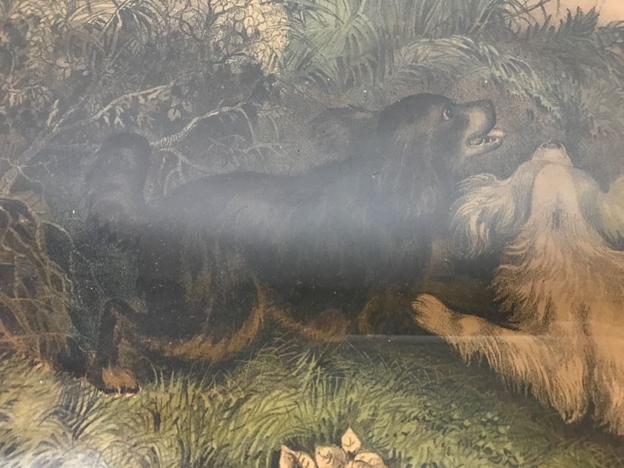 Antique Currier & Ives Lithograph 'Flushing A Woodcock' Hand Colored In Antique Frame [Photo 6]