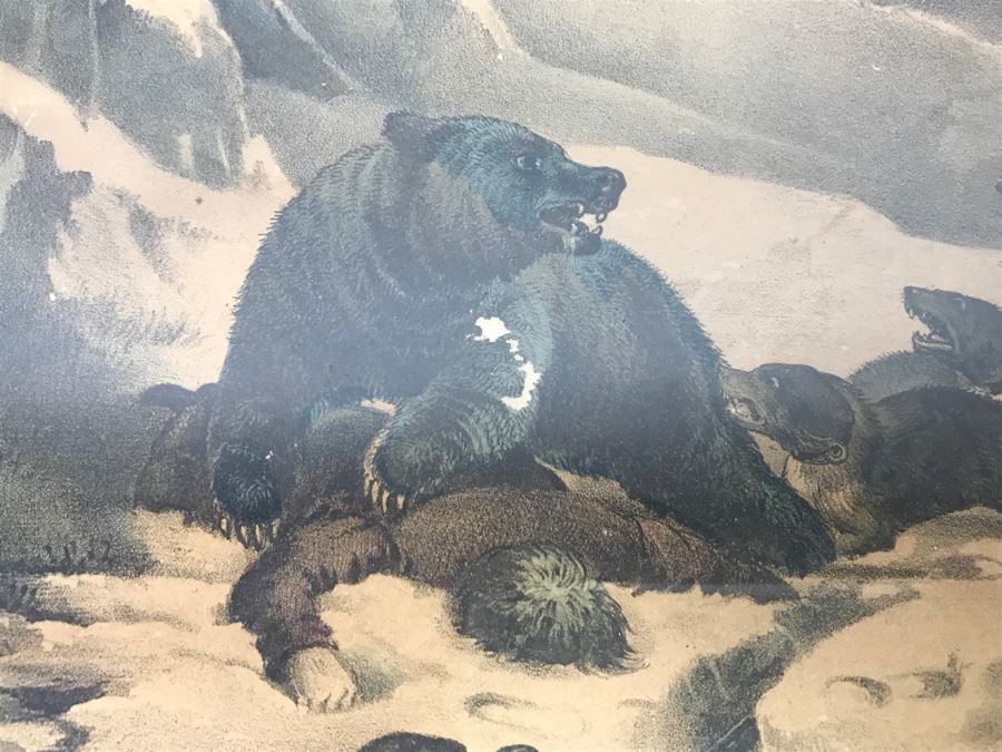 Antique Currier & Ives Lithograph 'Bear Hunting Close Quarters' Hand Colored In Antique Frame [Photo 4]