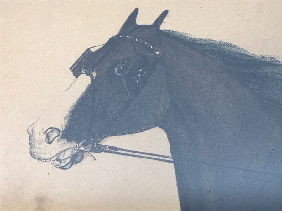 Antique Currier & Ives Lithograph 'Col. H. S. Russell's Smuggler, by Blanco, dam by Herod's Tuckahoe.' Hand Colored In Antique Frame Copyright 1876 Harness Racing J. Cameron [Photo 7]