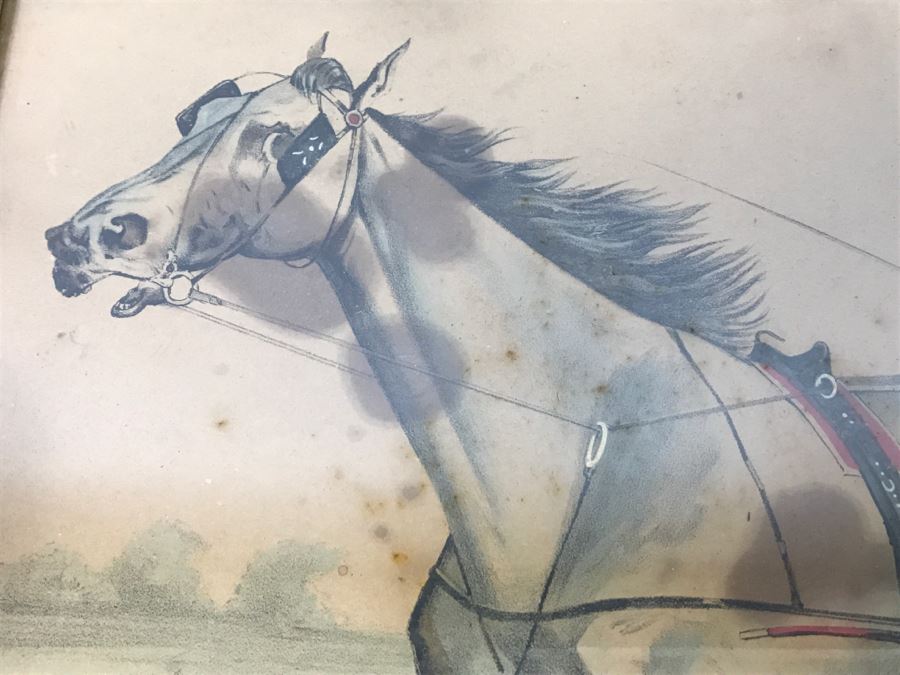 Antique Currier & Ives Lithograph 'Trotting Gelding Steve Maxwell, by Ole Bull, Jr. Driven By John Murphy' Hand Colored In Antique Frame Copyright 1881 Harness Racing Scott Leighton [Photo 4]